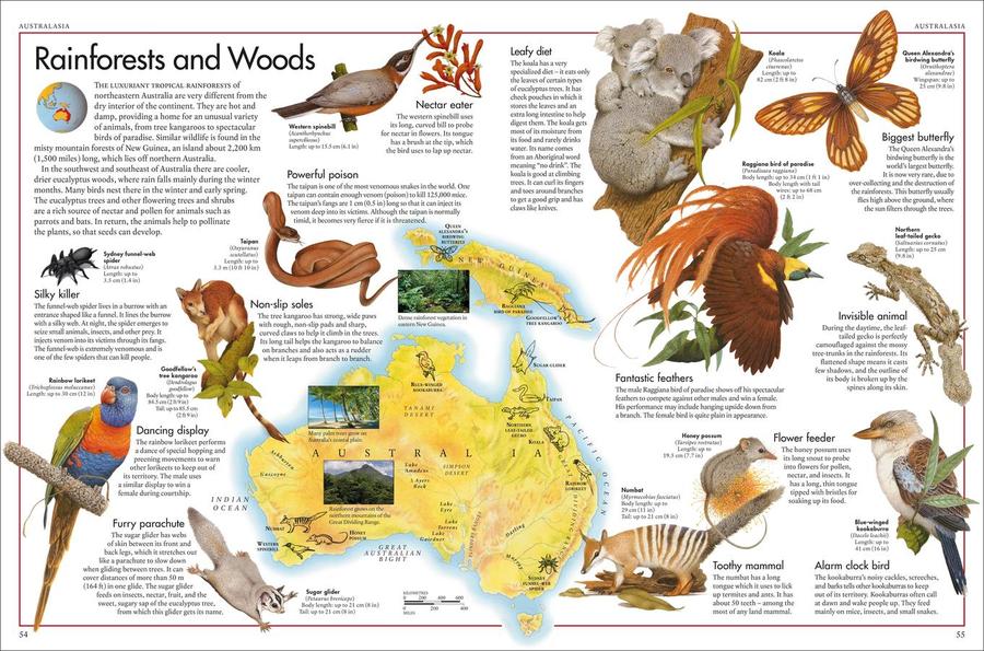 The Animal Atlas US - Hardback