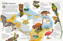 The Animal Atlas US - Hardback