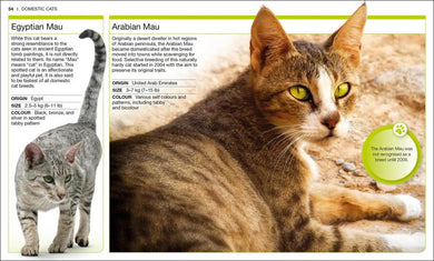 Pocket Genius: Cats US - Paperback / softback