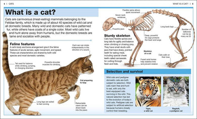 Pocket Genius: Cats US - Paperback / softback