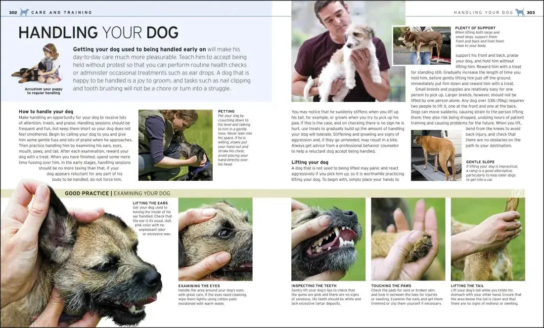 The Complete Dog Breed Book, New Edition US - Paperback / softback