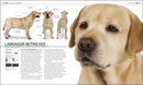 The Complete Dog Breed Book, New Edition US - Paperback / softback