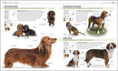The Complete Dog Breed Book, New Edition US - Paperback / softback