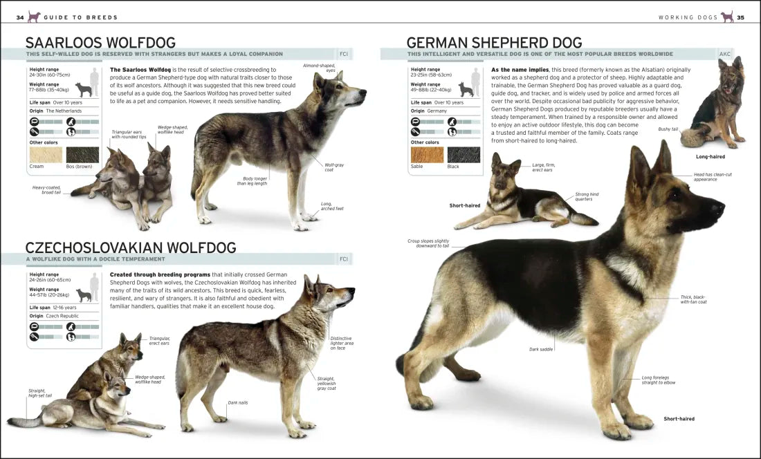 The Complete Dog Breed Book, New Edition US - Paperback / softback