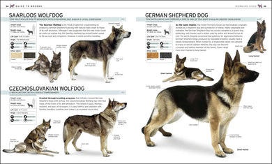 The Complete Dog Breed Book, New Edition US - Paperback / softback
