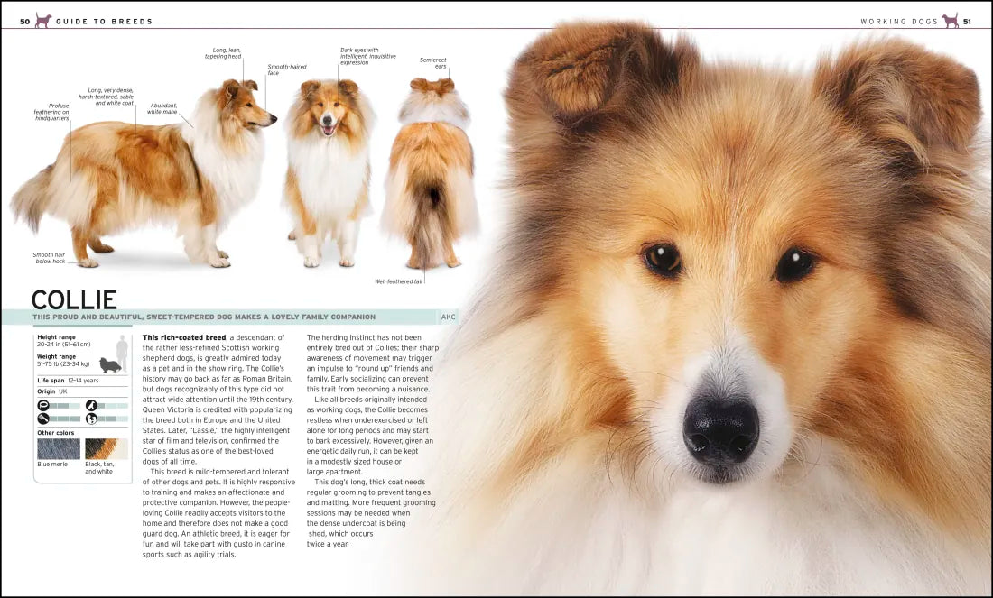 The Complete Dog Breed Book, New Edition US - Paperback / softback