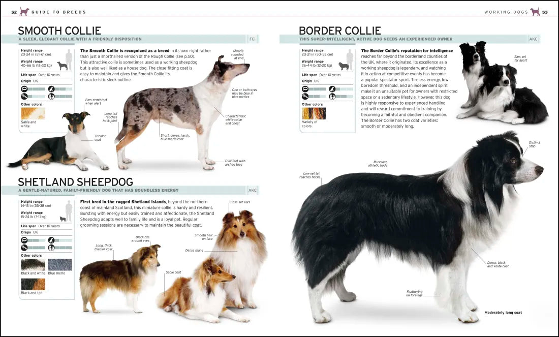 The Complete Dog Breed Book, New Edition US - Paperback / softback