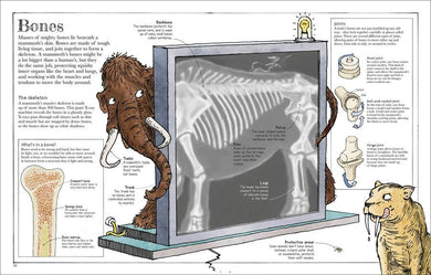 Mammoth Science US - Hardback