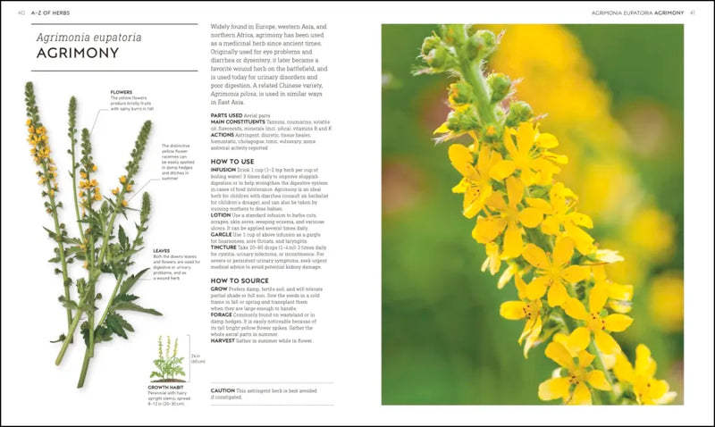 Essential Herbs US - Hardback