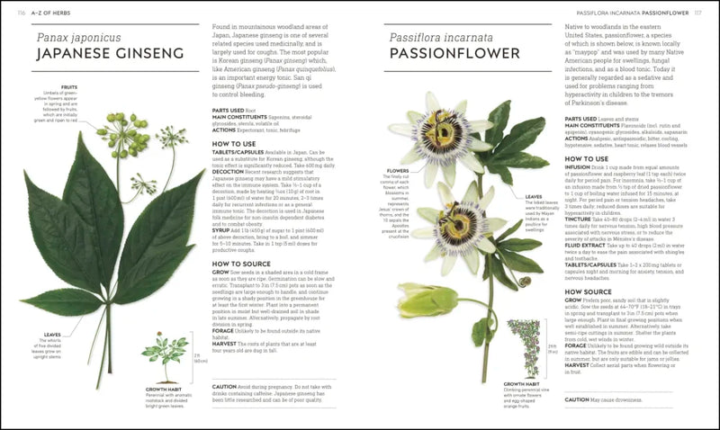 Essential Herbs US - Hardback