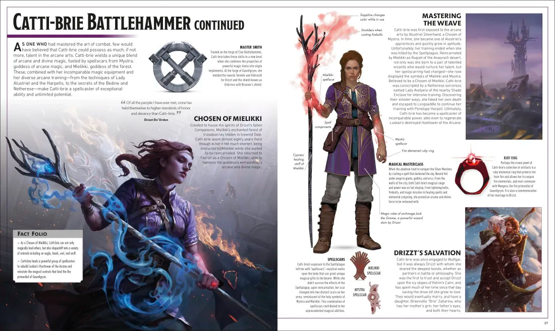Dungeons and Dragons The Legend of Drizzt Visual Dictionary US - Hardback