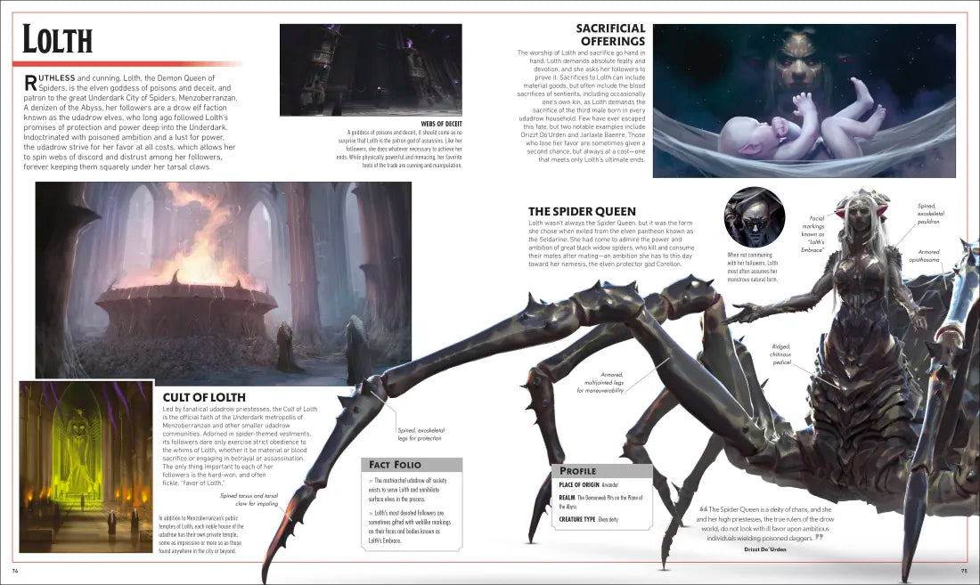 Dungeons and Dragons The Legend of Drizzt Visual Dictionary US - Hardback