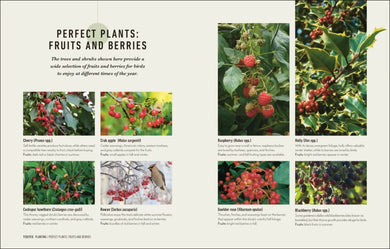 How to Attract Birds to Your Garden US - Hardback