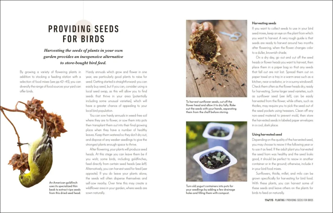 How to Attract Birds to Your Garden US - Hardback