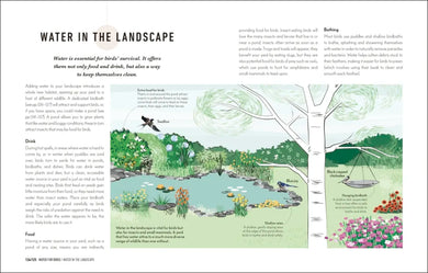 How to Attract Birds to Your Garden US - Hardback
