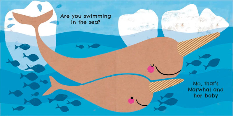 Eco Baby Where Are You Polar Bear? US - Board book