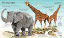 Big Book of Animals GB - Hardback