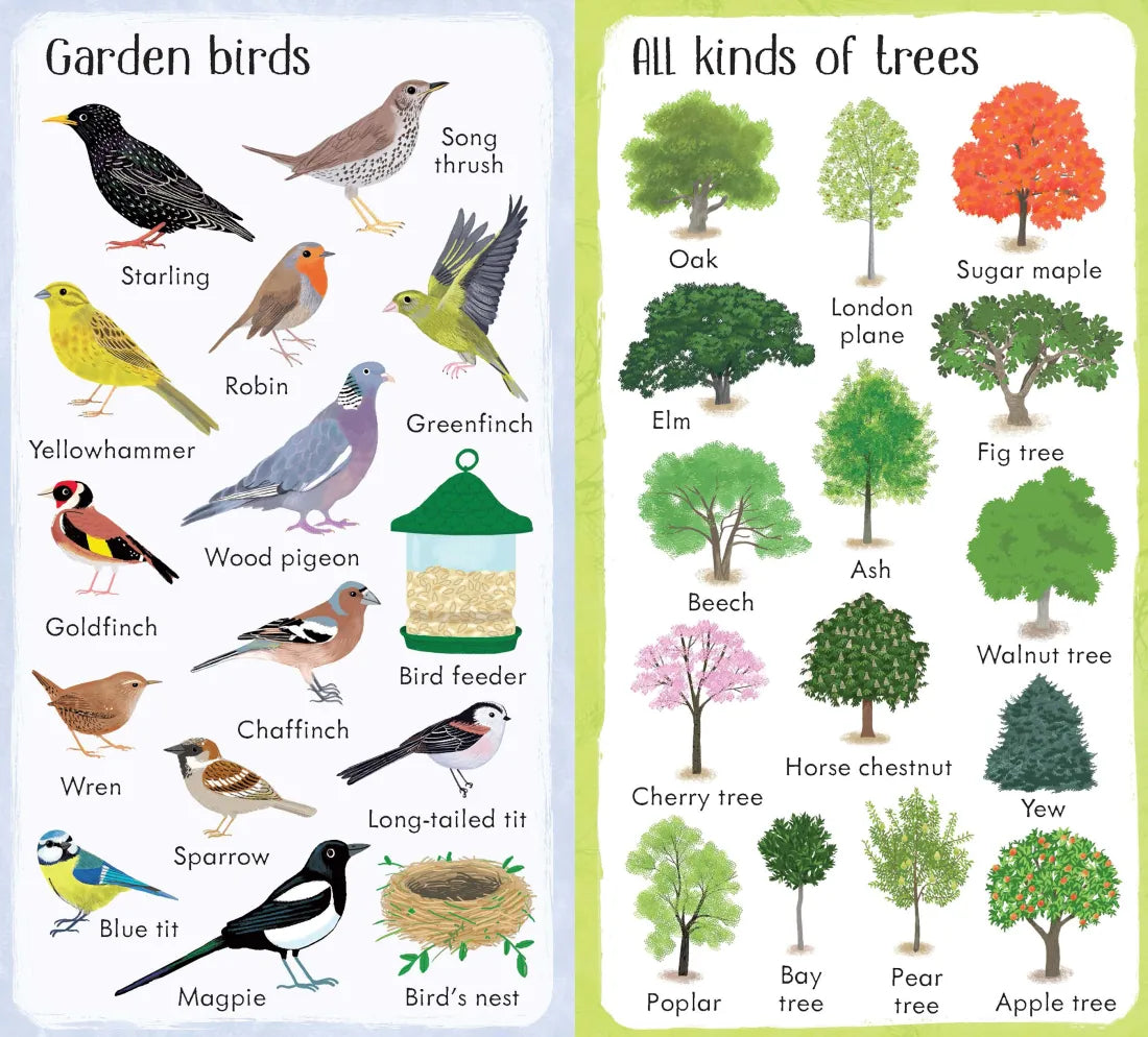 199 Things in the Garden GB - Board book