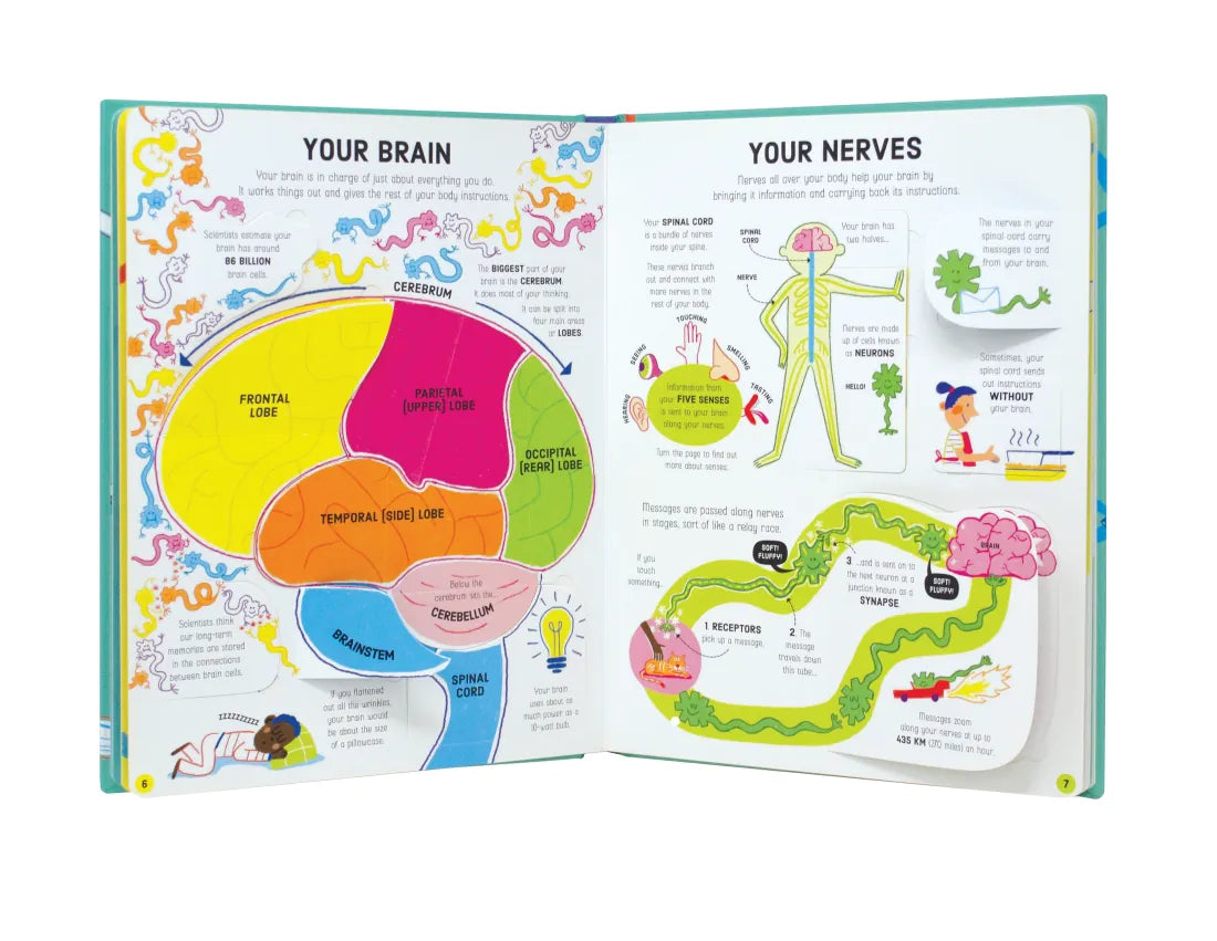 Lift-the-Flap How Your Body Works GB - Board book