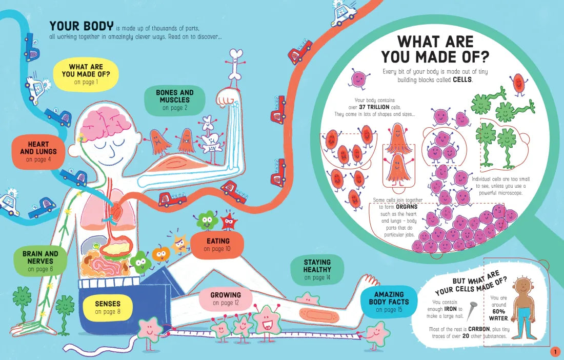 Lift-the-Flap How Your Body Works GB - Board book