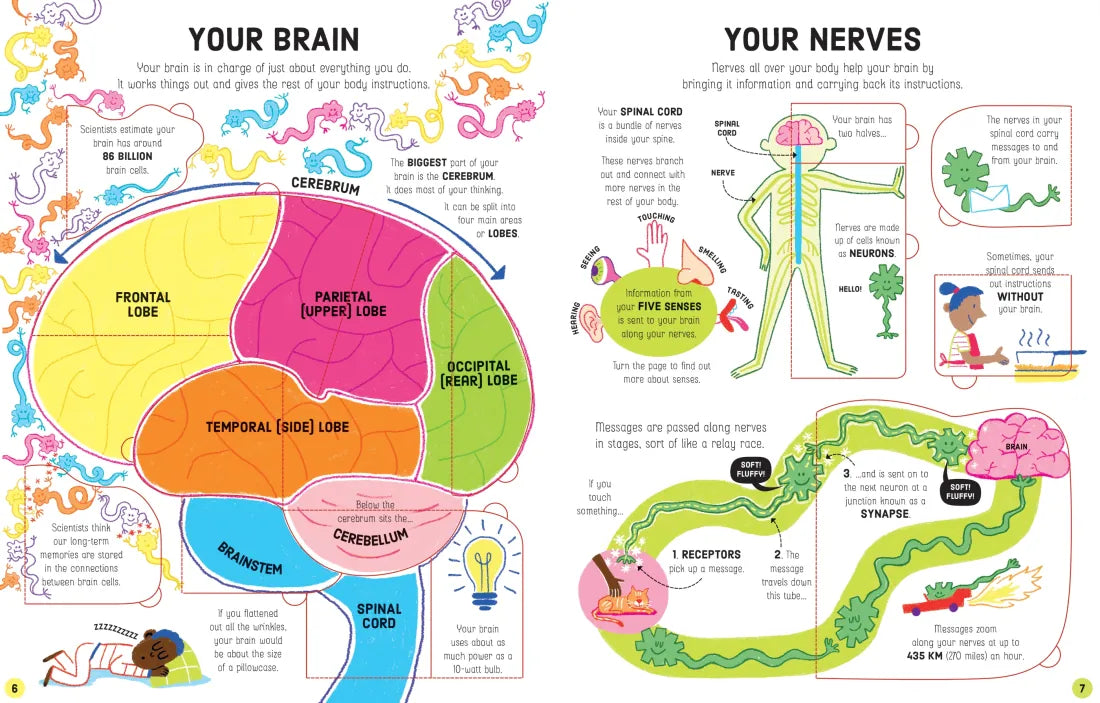 Lift-the-Flap How Your Body Works GB - Board book