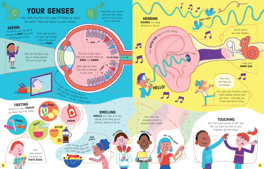 Lift-the-Flap How Your Body Works GB - Board book