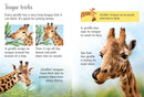 Giraffes GB - Hardback