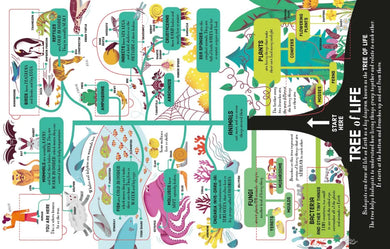 Lift-the-Flap Biology GB - Board book
