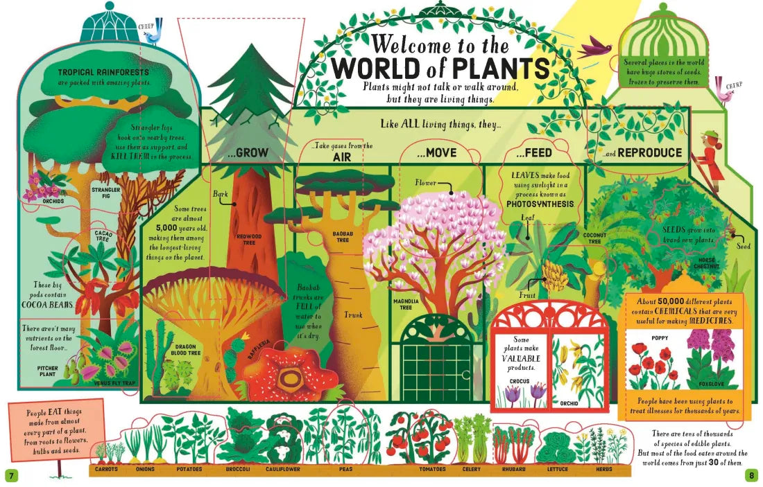 Lift-the-Flap Biology GB - Board book