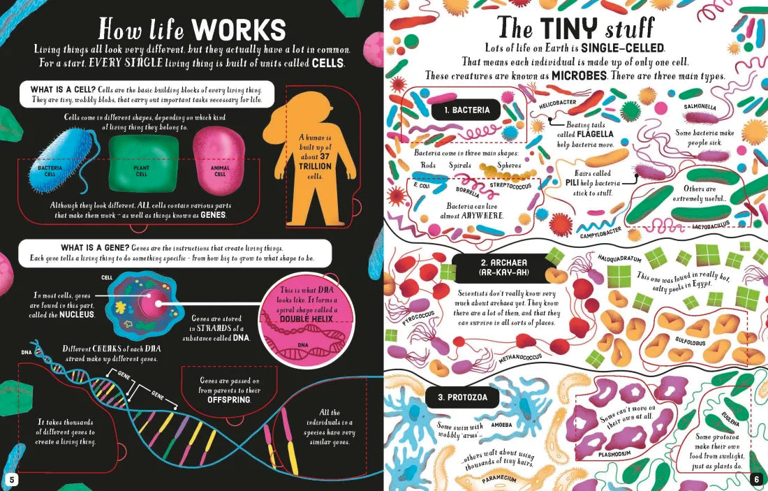 Lift-the-Flap Biology GB - Board book
