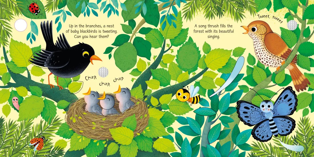 Bird Sounds GB - Board book