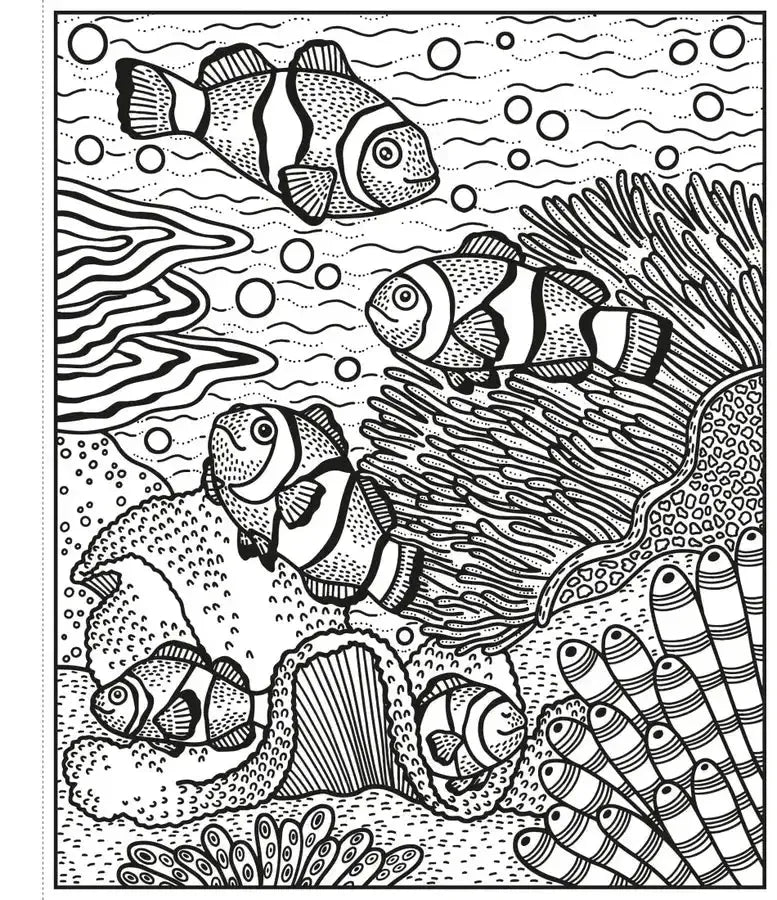 Coral Reef Magic Painting Book GB - Paperback / softback