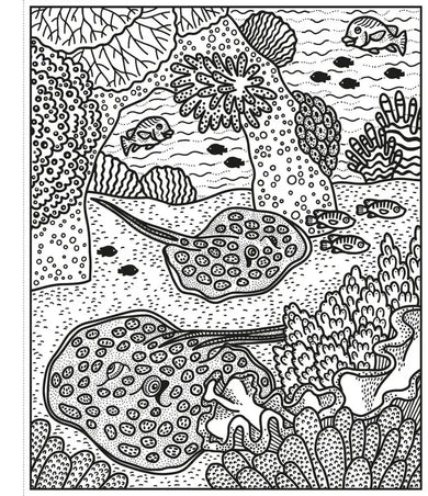 Coral Reef Magic Painting Book GB - Paperback / softback