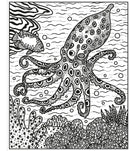 Coral Reef Magic Painting Book GB - Paperback / softback