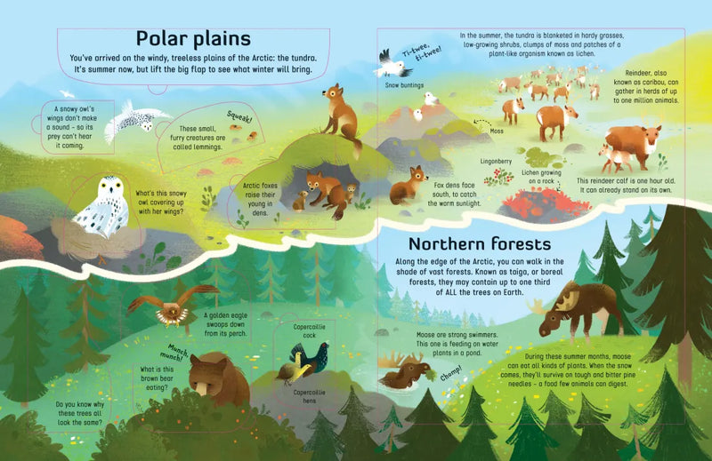 Extreme Planet: Journey across the Arctic GB - Board book