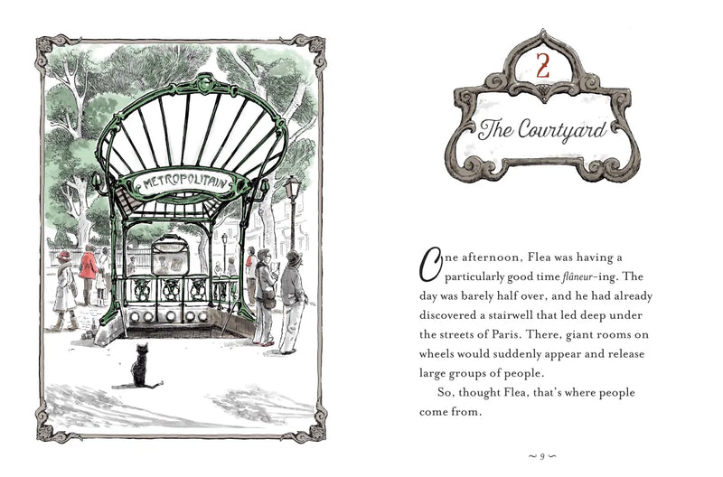 The Story of Diva and Flea US - Hardback