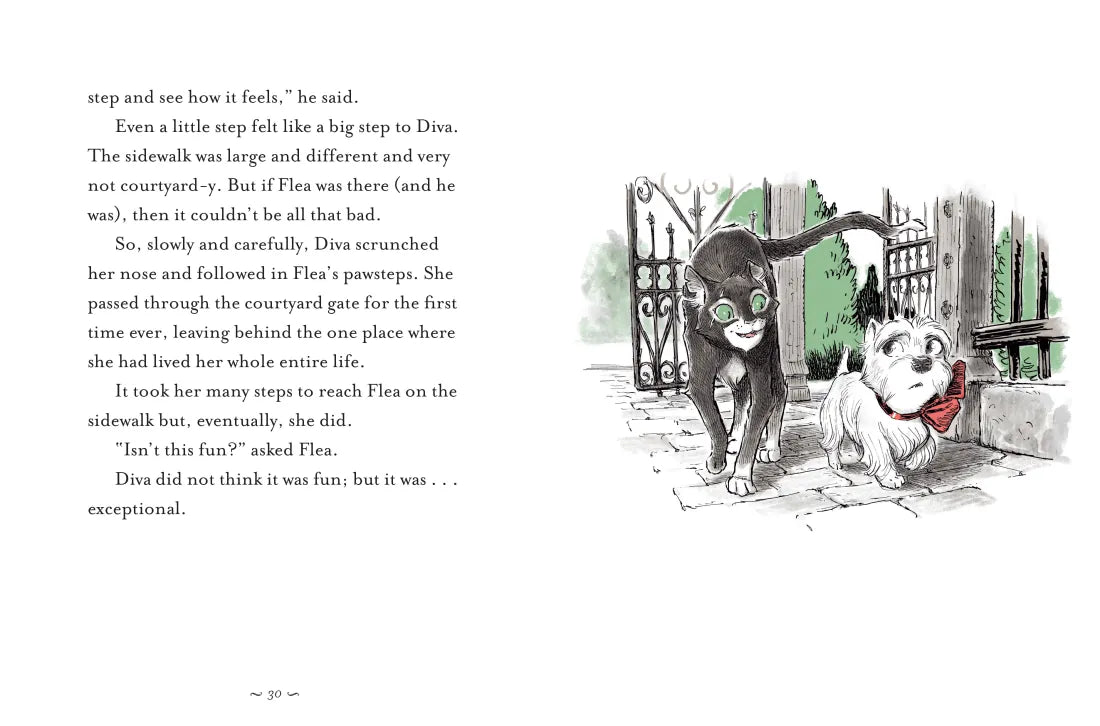 The Story of Diva and Flea US - Hardback