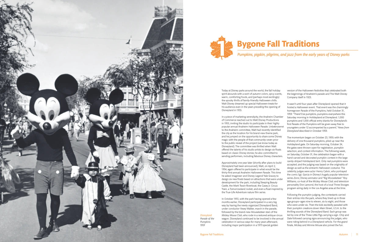 Holiday Magic at the Disney Parks US - Hardback