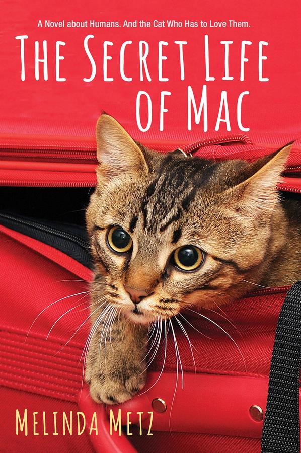 The Secret Life of Mac-Fiction: Romance-買書書 BuyBookBook