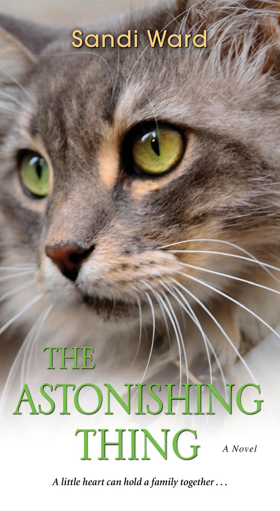The Astonishing Thing-Fiction: Family life-買書書 BuyBookBook