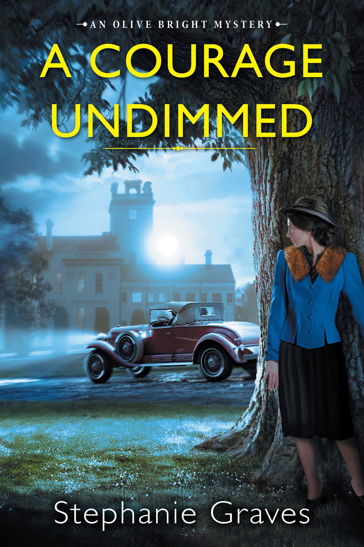 A Courage Undimmed cover (ISBN 9781496731562)