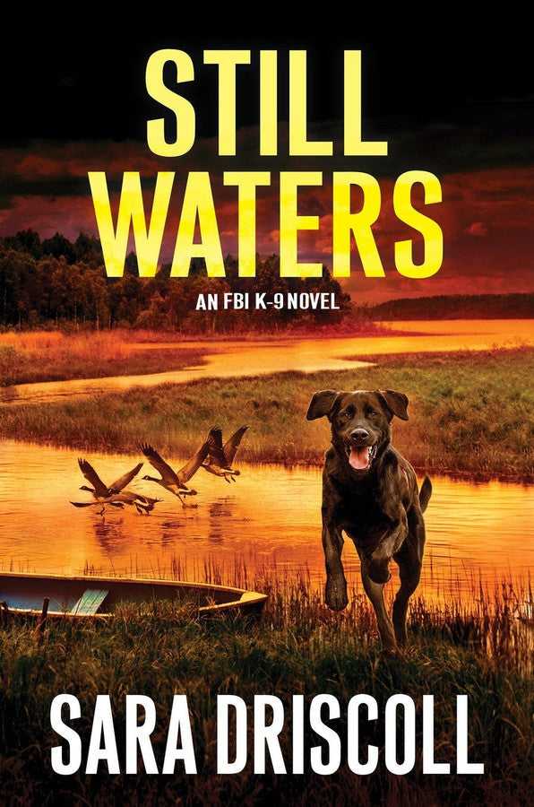 Still Waters-Fiction: Crime and mystery-買書書 BuyBookBook