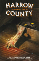 Harrow County Omnibus Volume 1-Graphic novel / Comic book / Manga: genres-買書書 BuyBookBook