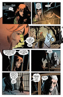 The Witcher Volume 10: The Bear and the Butterfly US - Paperback / softback