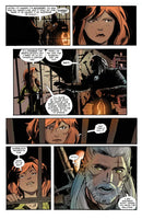 The Witcher Volume 10: The Bear and the Butterfly US - Paperback / softback