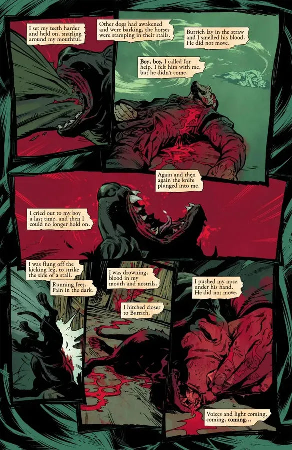 Assassin's Apprentice Volume 3 (Graphic Novel) US - Hardback