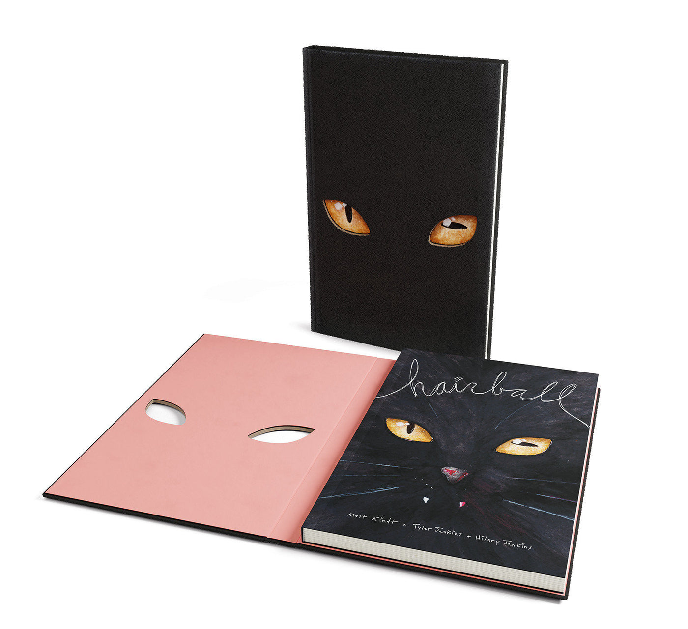 Hairball-Graphic novel / Comic book / Manga: genres-買書書 BuyBookBook