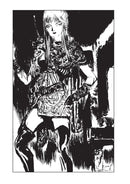 Vampire Hunter D Omnibus: Book Eight US - Paperback / softback