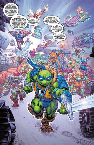 Masters of the Universe/Teenage Mutant Ninja Turtles: Turtles of Grayskull US - Paperback / softback