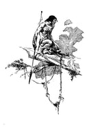 The Fantastic Art of Roy G. Krenkel US - Hardback